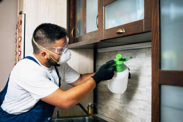 Best Mosquito Control Services  in Birngham, MI