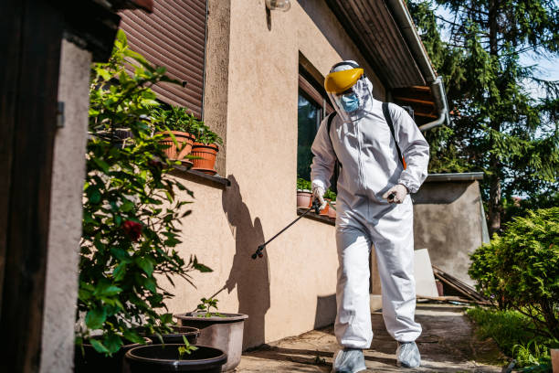 Best Pest Prevention Services  in Birngham, MI