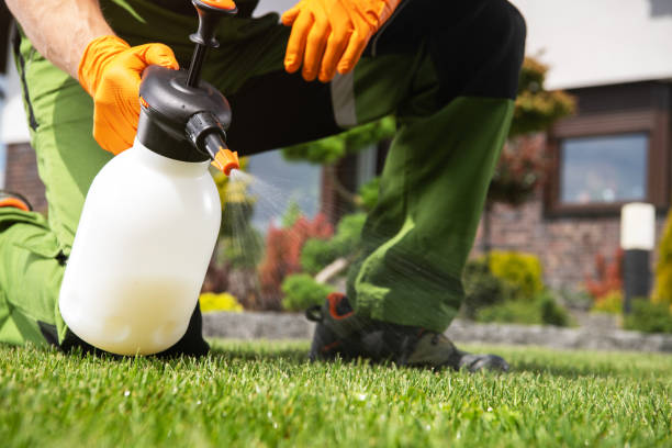 Best Pest Control Near Me  in Birngham, MI