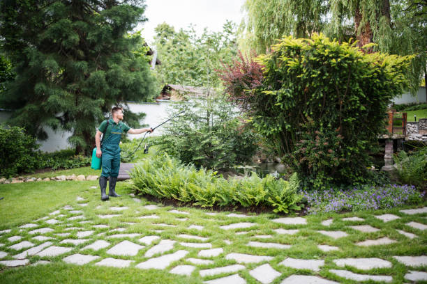 Best Pest Control Near Me in Birmingham, MI