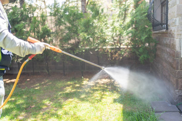 Best Best Pest Control Companies  in Birngham, MI