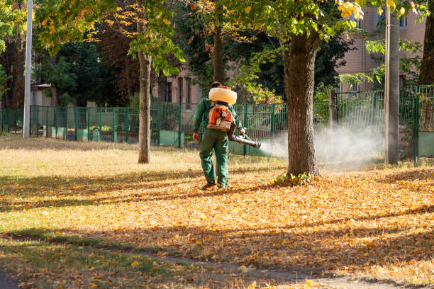 Best Affordable Pest Control Services  in Birngham, MI