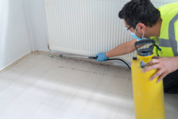 Best Pest Inspection Near Me  in Birngham, MI