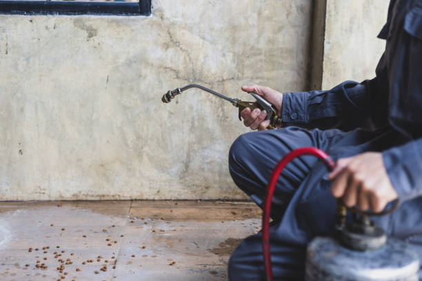 Best Commercial Pest Control Services  in Birngham, MI