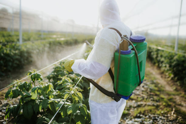 Best Cockroach Control Services  in Birngham, MI